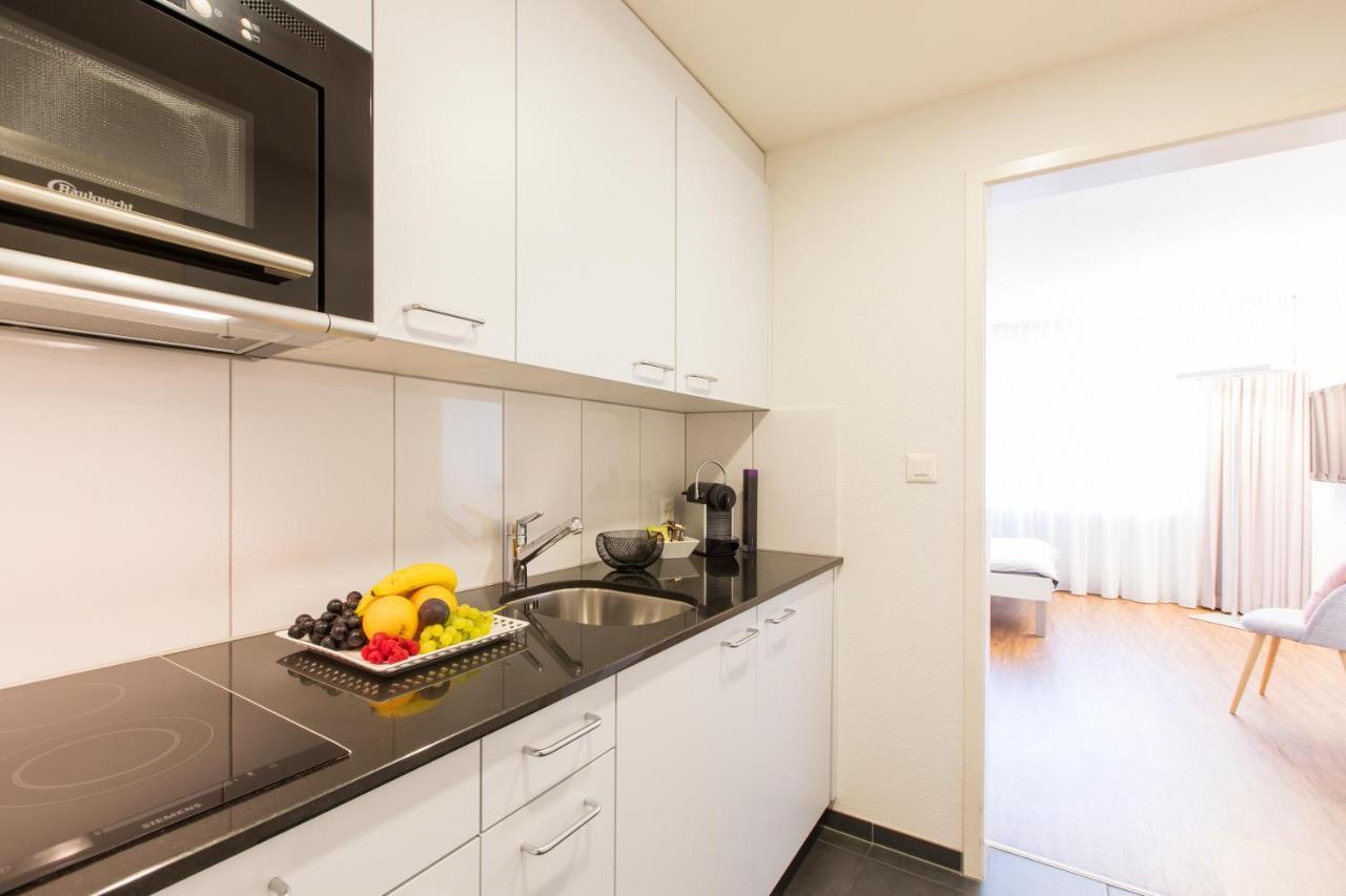 Apartmenthaus Zum Trillen Basel City Center Dış mekan fotoğraf